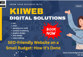 Affordable SEO-Friendly Website Delhi for Small Brands